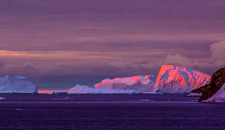На связи Антарктида