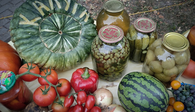 Для праздника урожая в Калуге «итальянка» сменила прописку