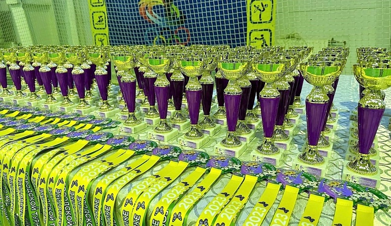 В Кирове соревновались гимнастки Калужской и Брянской областей