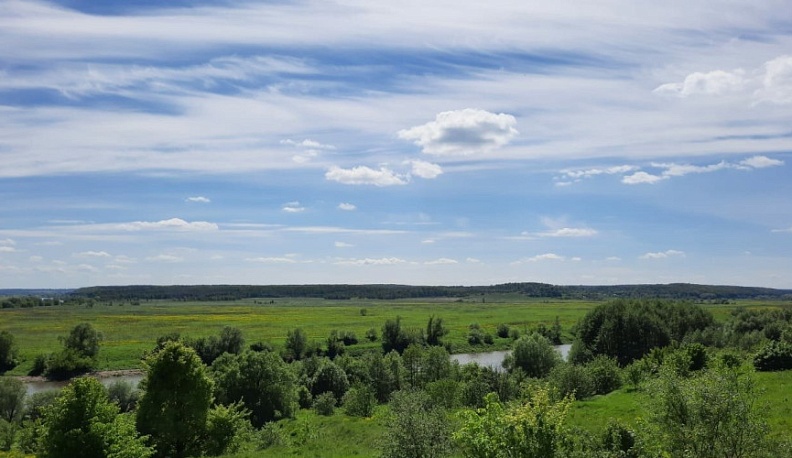 В Калужской области поставили на кадастровый учет 5 памятников природы