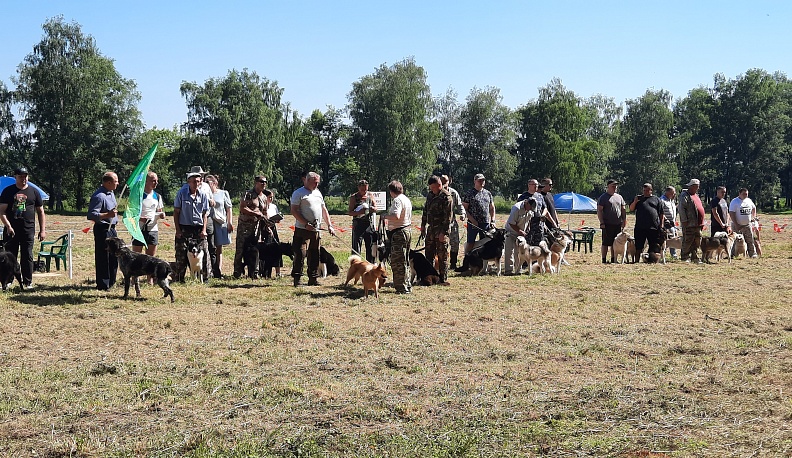 В Сухиничах собрались собаководы со всей Калужской области 