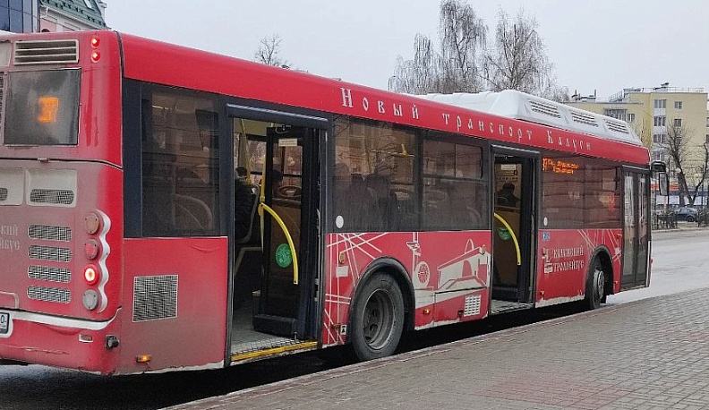 Калужские полицейские во время рейда выявили 25 нарушений на общественном транспорте