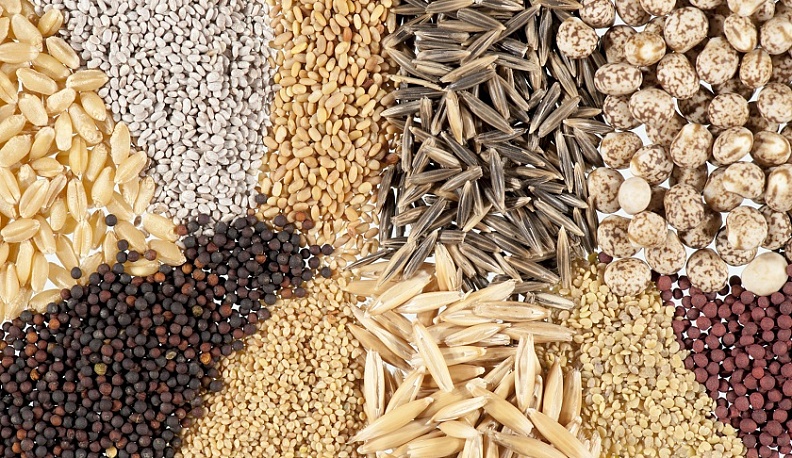 В Калужской области завершают подготовку к посевной кампании