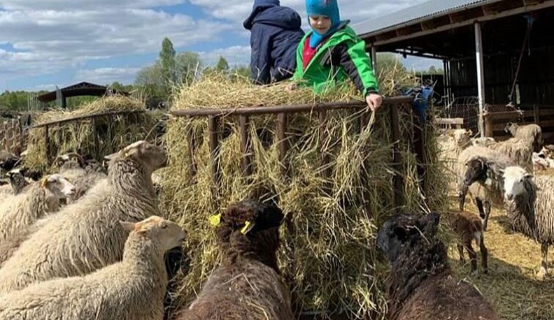 Из столицы –  в глубинку
