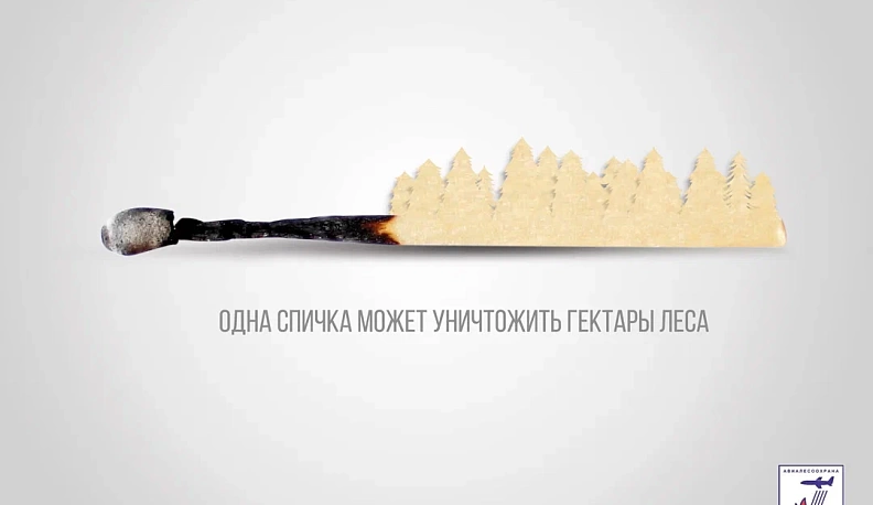 В Калужской области для предотвращения пожаров усилили патрулирование лесов  