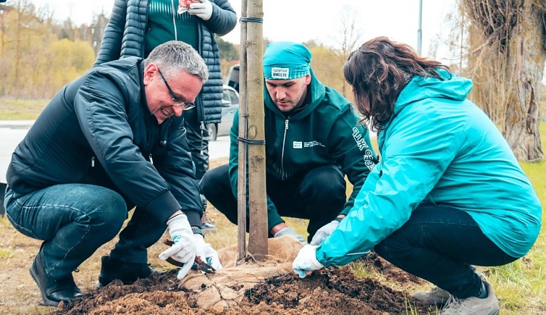 На берегу Яченского водохранилища высадили 10 клёнов