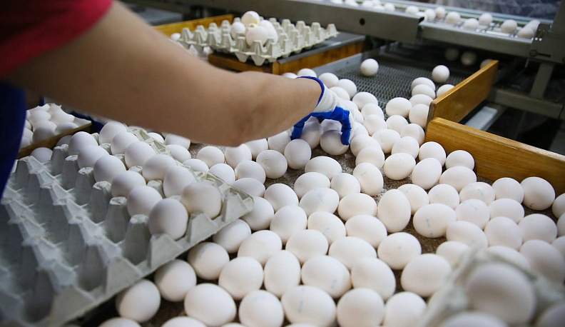 Потому что труд  у нас в почёте...  Ручной!