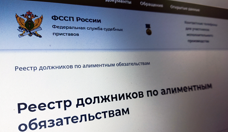 Около тысячи калужан попали в реестр злостных алиментщиков