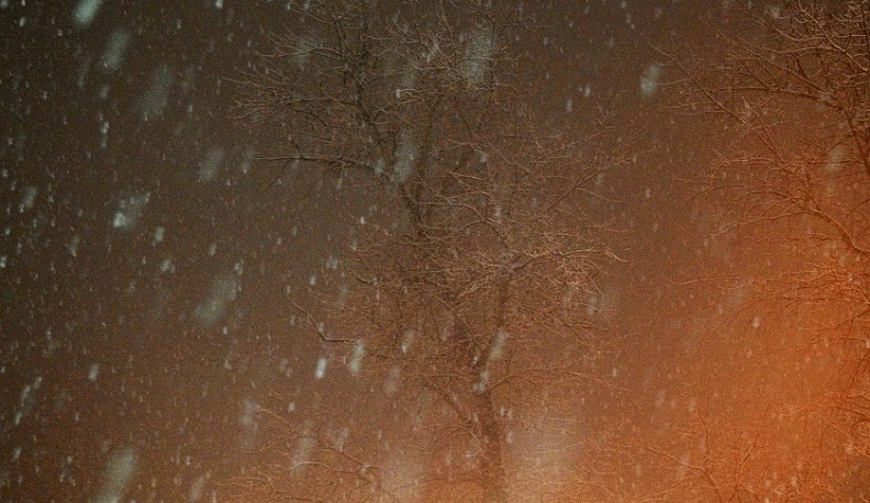 МЧС предупреждает калужан о мокром снеге, гололеде и гололедице 13 декабря