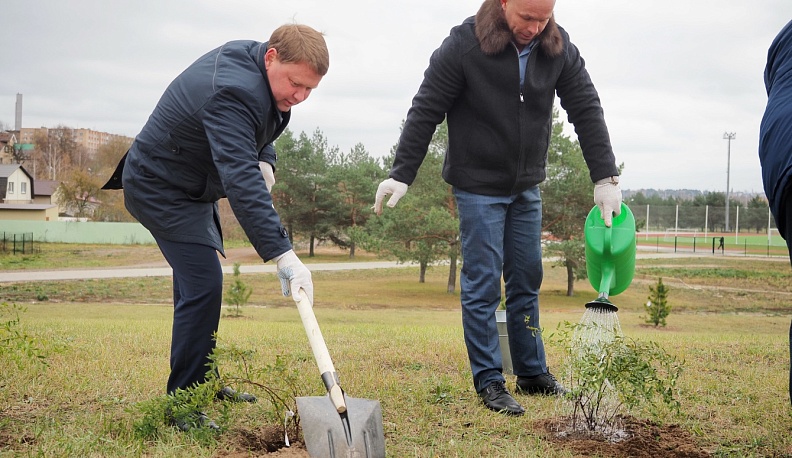 Саженцы дружбы и единения