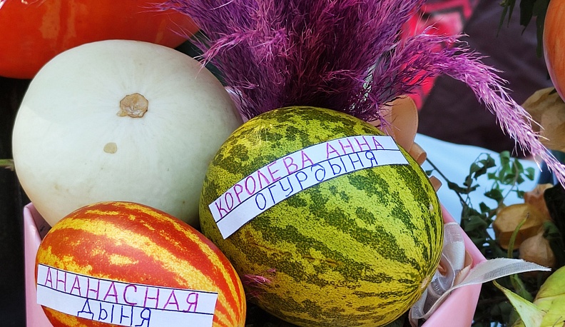 Огурец «Ухажор», «веерный» томат и арбуз в клеточку представили калужане на выставке урожайного сезона 