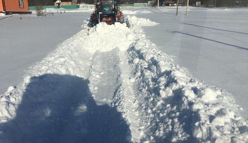 По следам прошедшего снега
