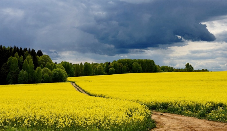 В России прошло масштабное экологическое тестирование