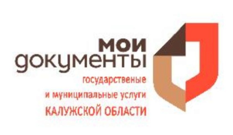 Что делать, если нет возможности добраться до МФЦ, а документы получить нужно