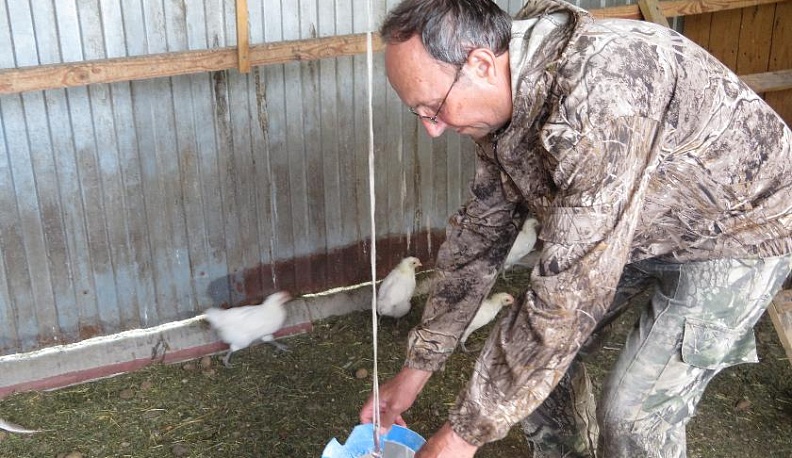 Пташкин двор