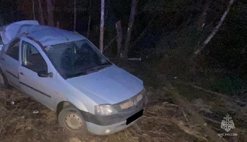 В Калужской области иномарка съехала в кювет