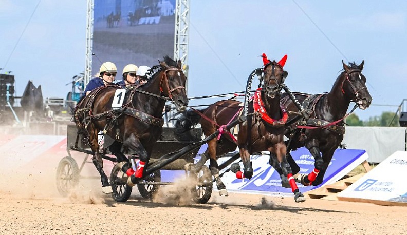 На Международной выставке-форуме «Россия» Калужская область устроит катания на тройке