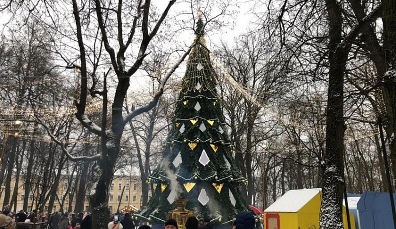 В центральном парке Калуги зажгли новогоднюю ёлку