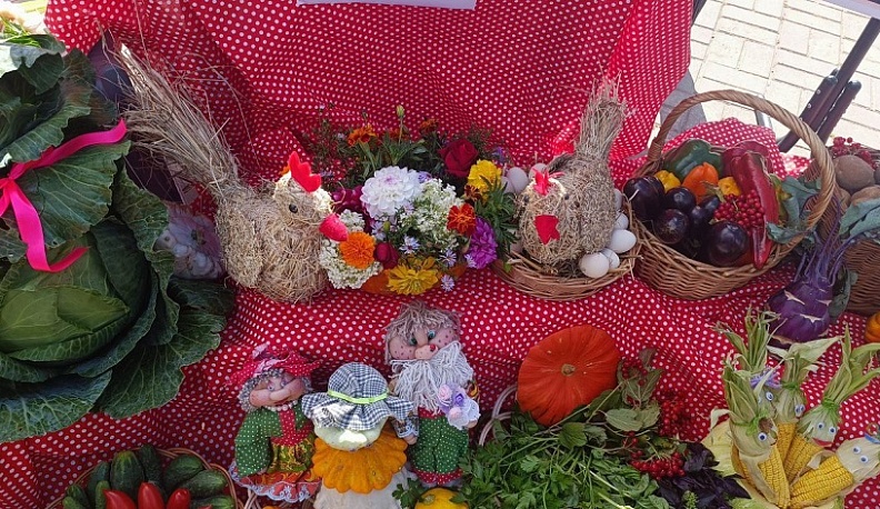 В Калуге подвели итоги конкурса на лучшее ветеранское личное подсобное хозяйство