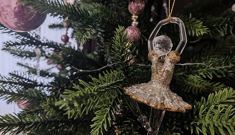 К Новому году в Калужской области планируется заготовить 6 тысяч елей