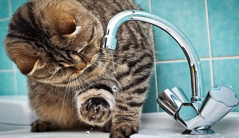 В среду три центральных улицы Калуги останутся без воды