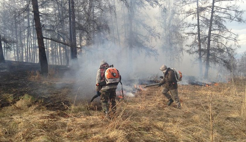 В Калужской области произошло 80 лесных пожаров