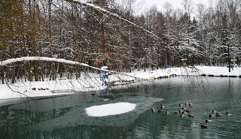 19 января православная церковь отмечает Крещение Господне 
