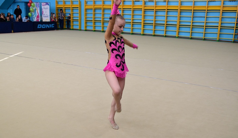 В Людинове прошло открытое Первенство района по художественной гимнастике 