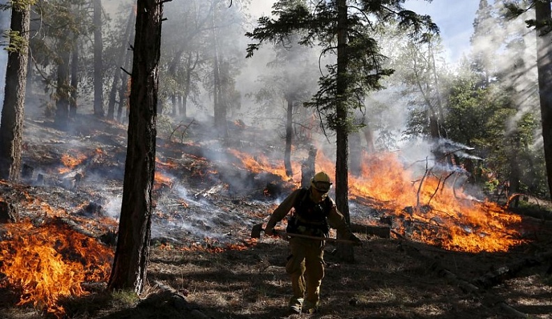 Калужская область завершает подготовку к пожароопасному сезону