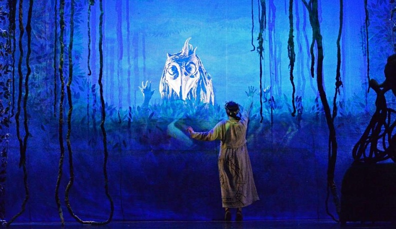 Человек и кукла