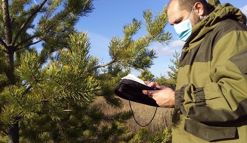 В Калужской области в разряд лесов перевели 1788 гектаров молодых посадок