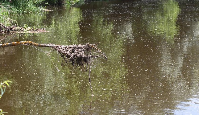 Гиблое место