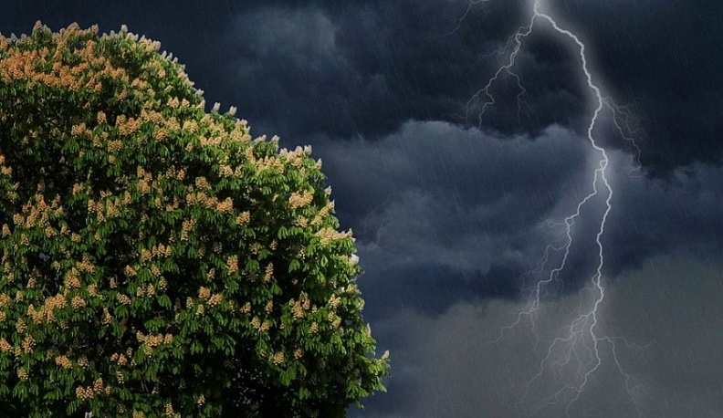В Калужской области в воскресенье ожидается гроза и порывистый ветер
