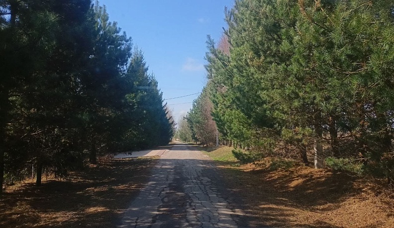 Погода порадует жителей Калужской области потеплением до +18