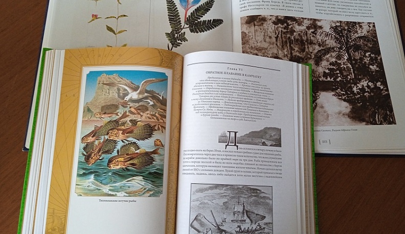 Калужская научная библиотека им. В.Г. Белинского выставкой отметила юбилей первой русской кругосветки