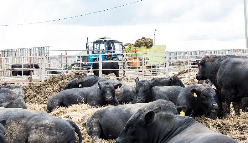 Всё органично