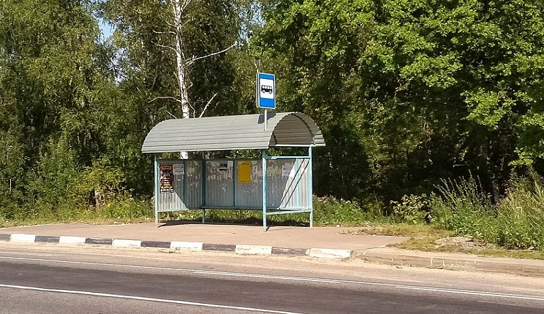 В Обнинске иностранец избил девушку и украл у нее телефон