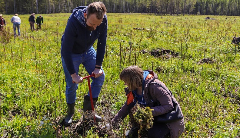 В Калужской области «Сад Памяти» стал больше на 167 тысяч деревьев