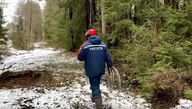 Специалисты «Калугаэнерго» восстановили подачу электричества по основной сети после непогоды
