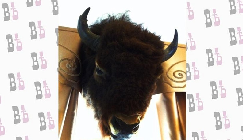 Объединенный музей-заповедник проводит «Прогулки по музею»