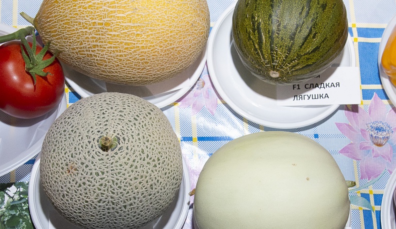 В калужском Доме народного творчества и кино «Центральный» открылась выставка даров сада и огорода