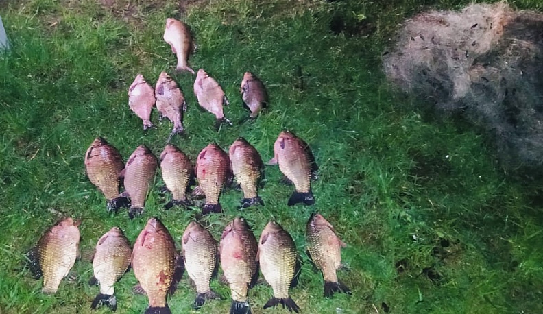 Семейная пара из Калужской области отработает свой улов на принудительных работах