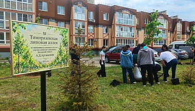 В микрорайоне Кошелев высадили 70 лип Тимирязевской аллеи