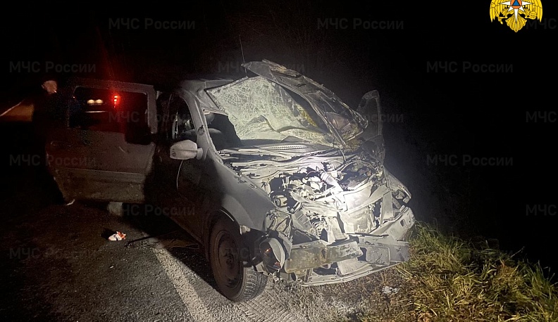 В Мосальском районе «Лада» сбила корову. Два человека получили ранения