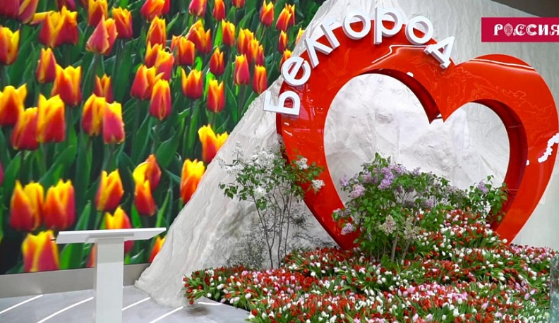 На выставке-форуме "Россия" поддержали белгородцев