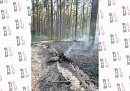 В Хвастовичском округе потушили лесной пожар площадью в 1,5 га