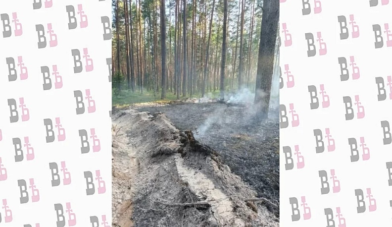 В Хвастовичском округе потушили лесной пожар площадью в 1,5 га