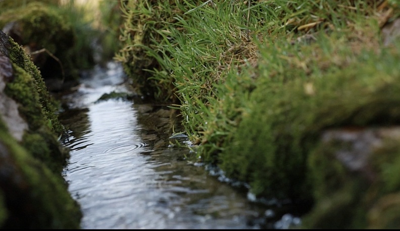 Калужская область присоединилась к экологической акции