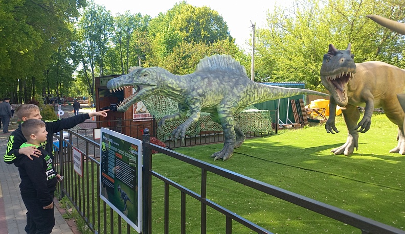 Голосовали и не проиграли