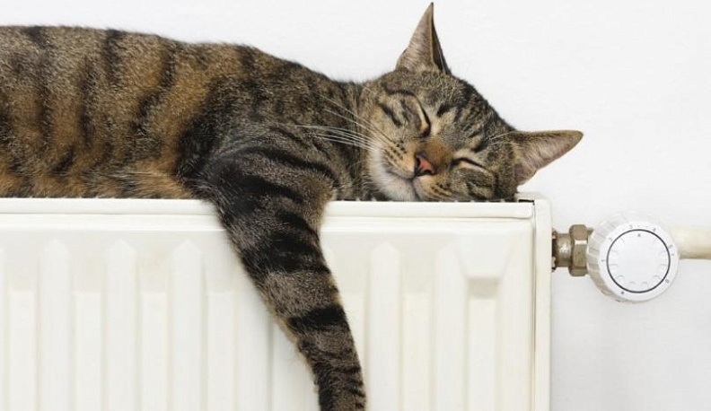 Более 99% многоквартирных домов региона обеспечены теплом 